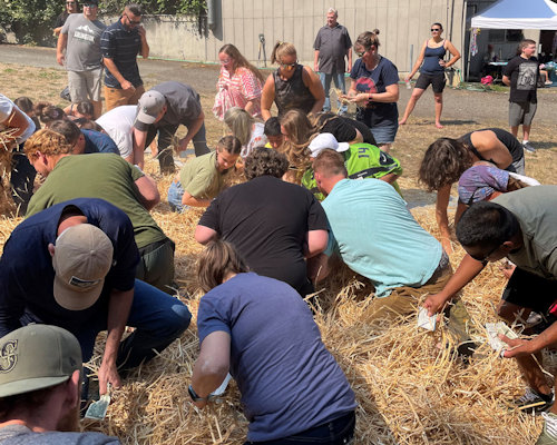 Frank Lumber Carnival & Picnic 2023