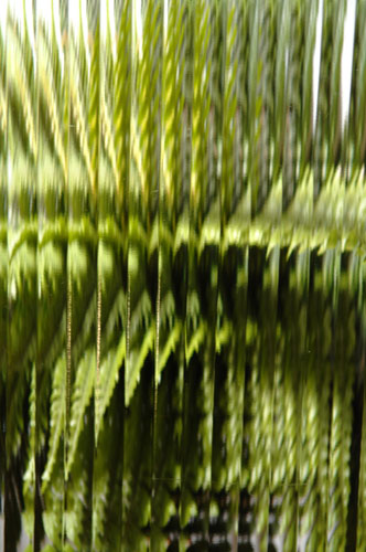 Reed Textured Glass