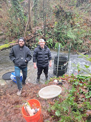 Coho Salmon Revitalization Project 2024