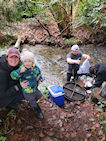 Putting the remainder of the Coho Salmon eggs in the Lyon Creek Hatchery